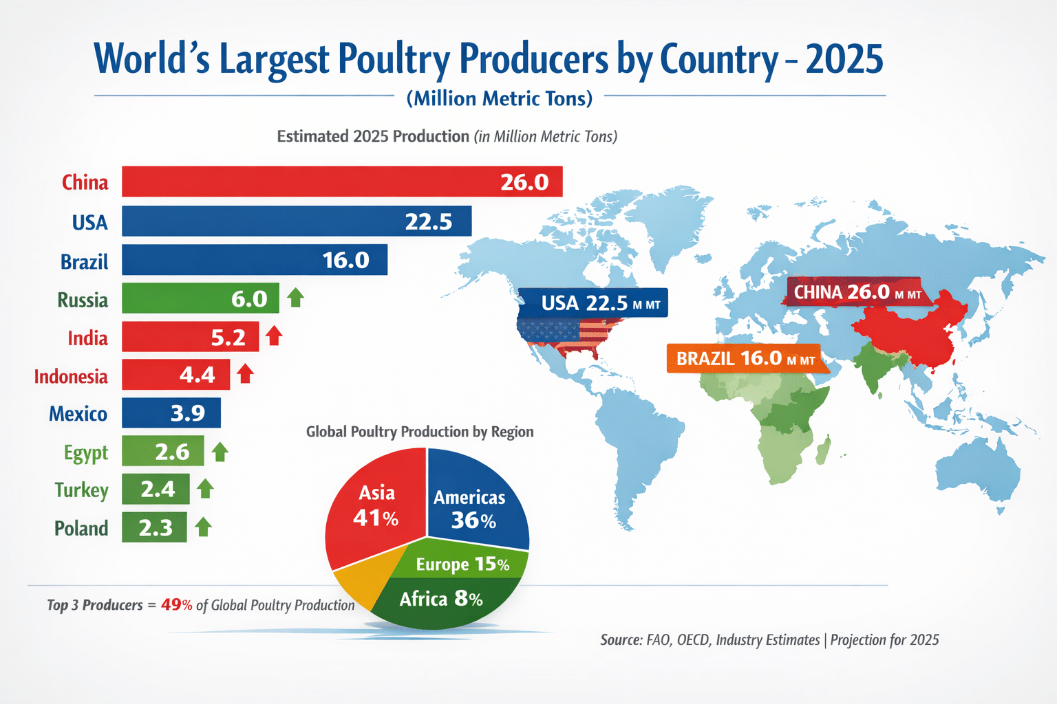 World’s Largest Poultry Producers by Country (Infographic) 2025