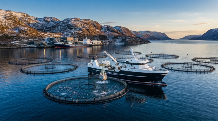 Fishing boat in salmon farming area