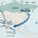 A map illustrating trade routes between Russia and India for seafood processing, highlighting the Chennai-Vladivostok corridor and U.S. tariff impacts.